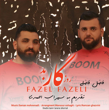 فاضل فاضلی روزگار بد